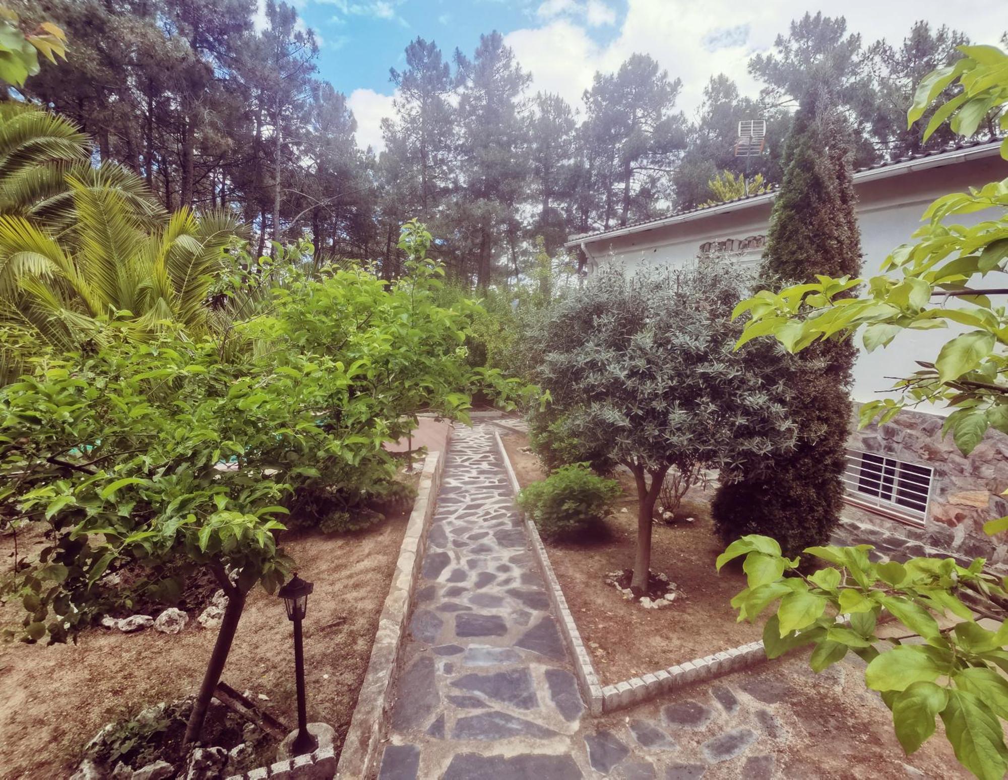 Bonita Casa En El Bosque - El Tiemblo Villa Ngoại thất bức ảnh